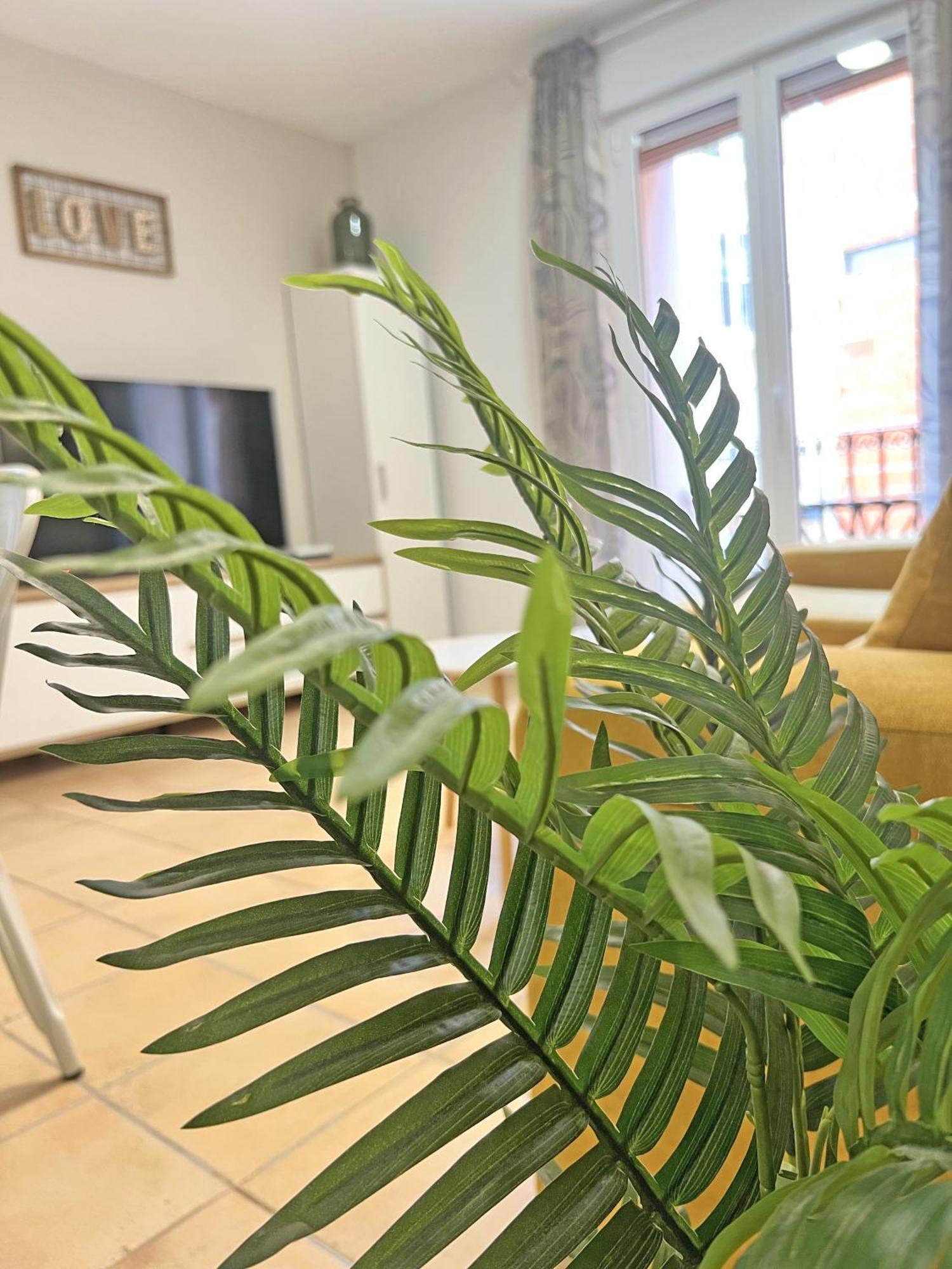 Puro Centro. 500M Del Mar. A/C Apartment Alicante Luaran gambar